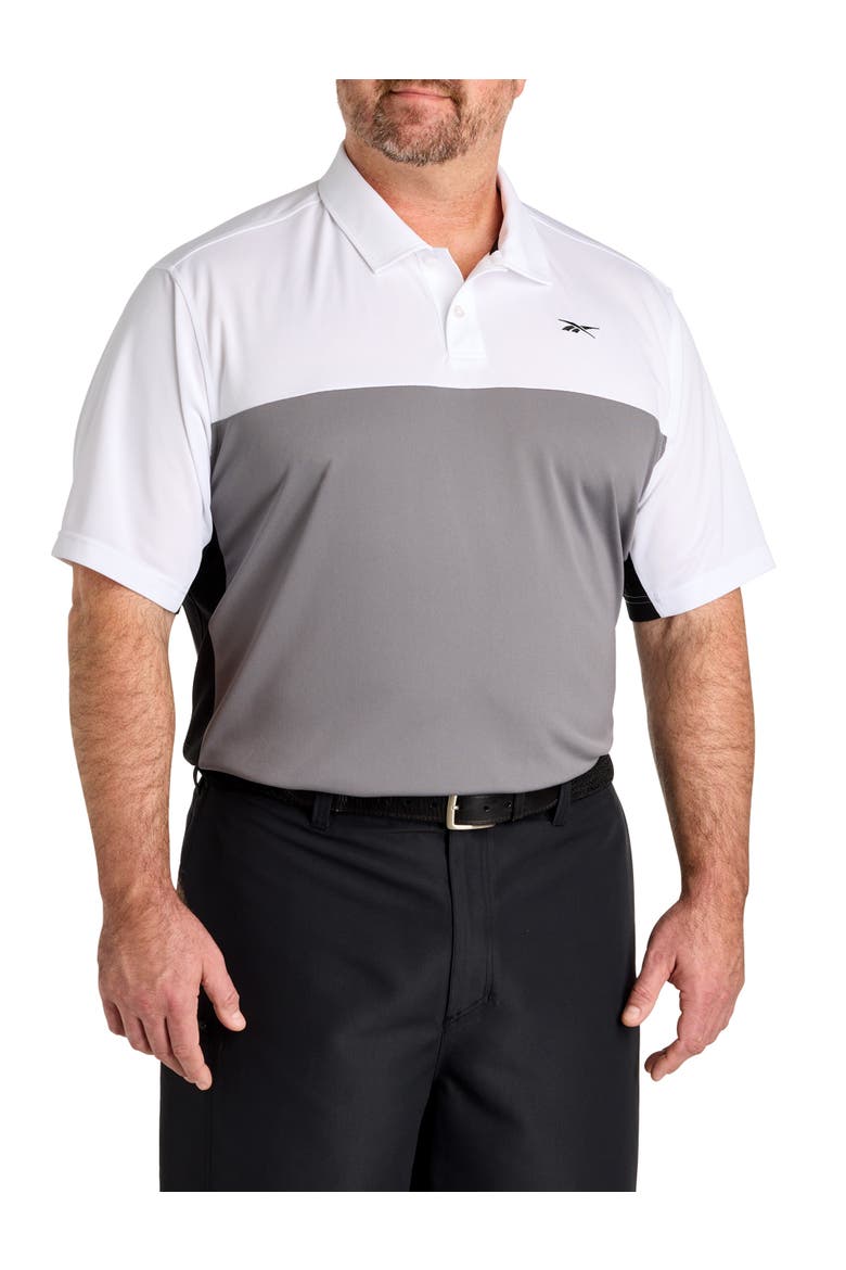 Big & Tall Colorblocked Polo Shirt V2, Main, color, GREY