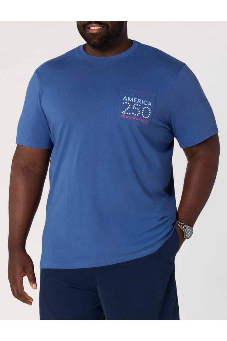 Big & Tall Americana 250 Pocket T-Shirt, Alternate, color, MOONSHINE