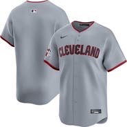 Nike Men's Nike Gray Cleveland Guardians Road Limited Jersey