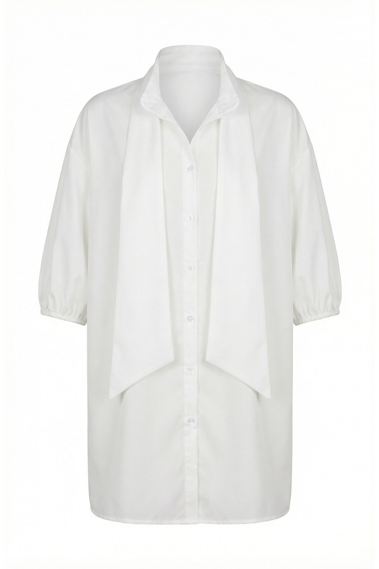 Tie Neck Button Front Tunic Shirt, Alternate, color, White