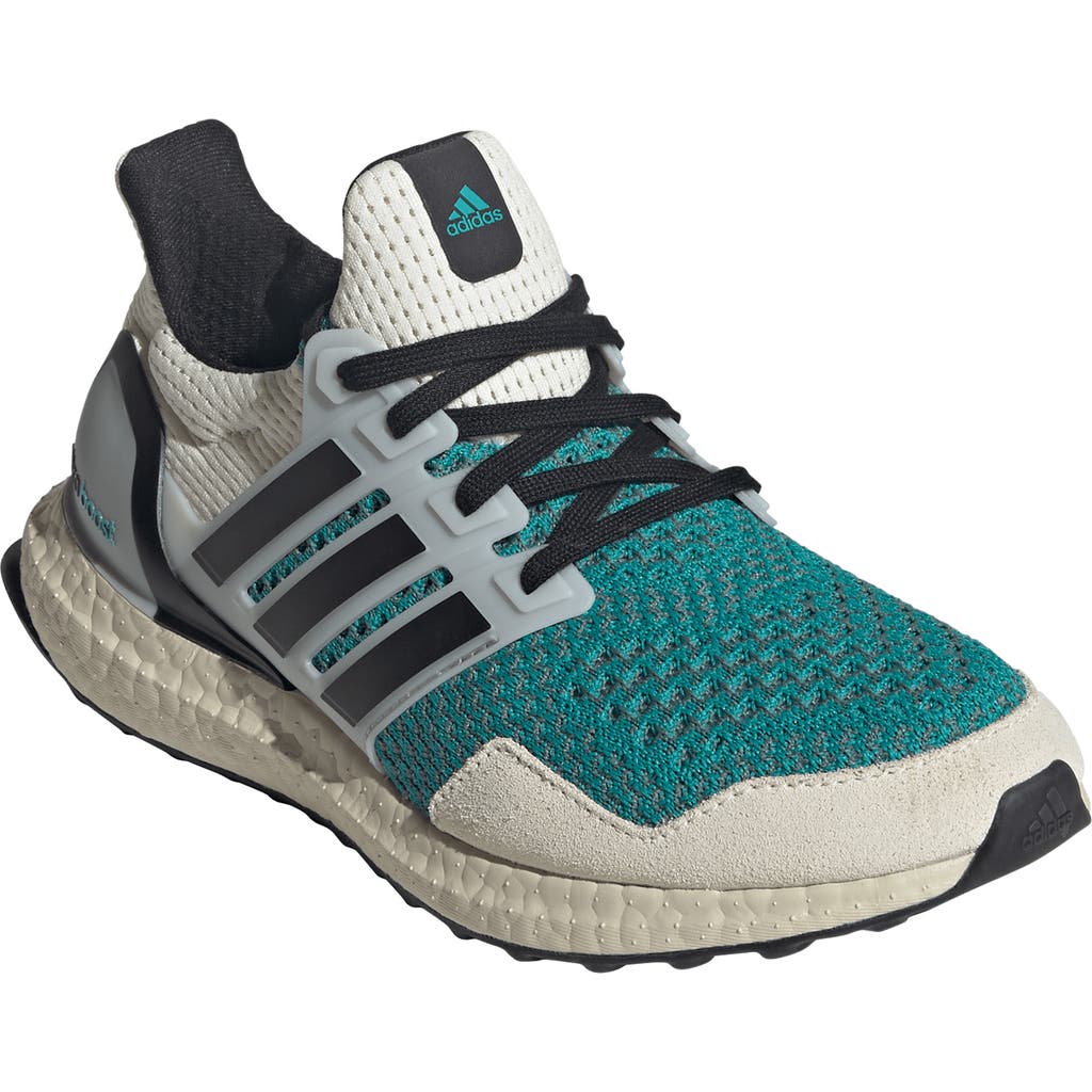 Adidas Originals Adidas Ultraboost 1.0 Dna Sneaker In Multi