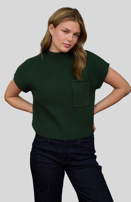Blu Pepper Short Sleeve Mock Neck Sweater In Green