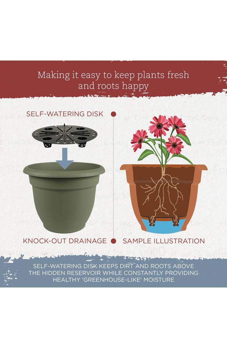 Bloem 16 Inch Ariana Pot Planter, Alternate, color, Green