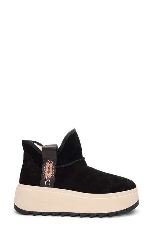Ash Round-head Short Boots In Black