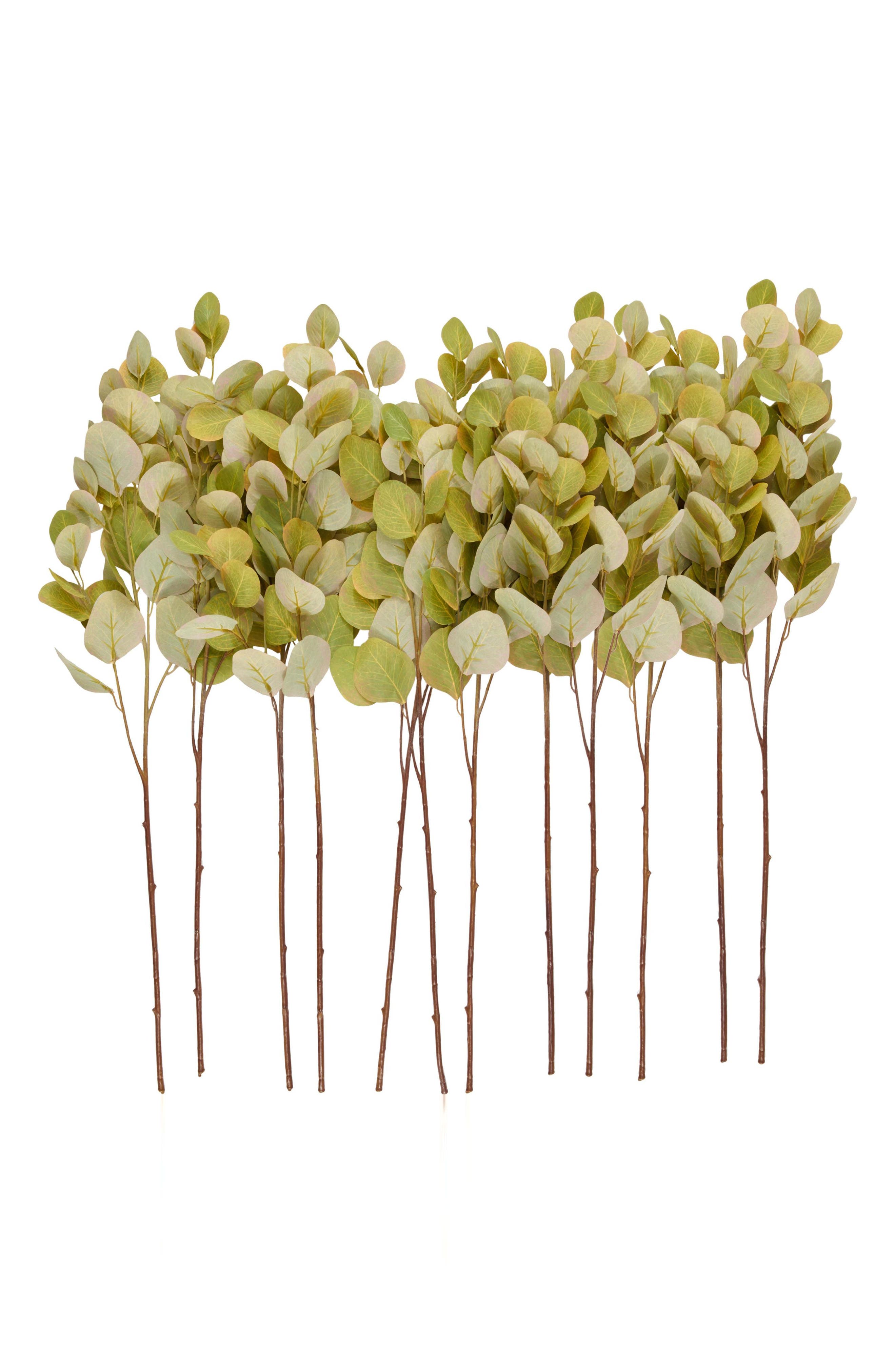 SONOMA SAGE HOME Set of 12 Eucalyptus Artificial Stems
