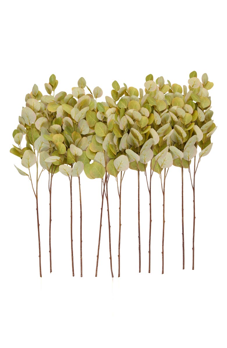 SONOMA SAGE HOME Set of 12 Eucalyptus Artificial Stems, Main, color, Green