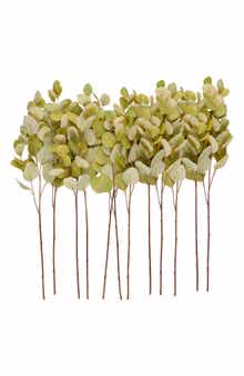 SONOMA SAGE HOME Set of 12 Eucalyptus Artificial Stems