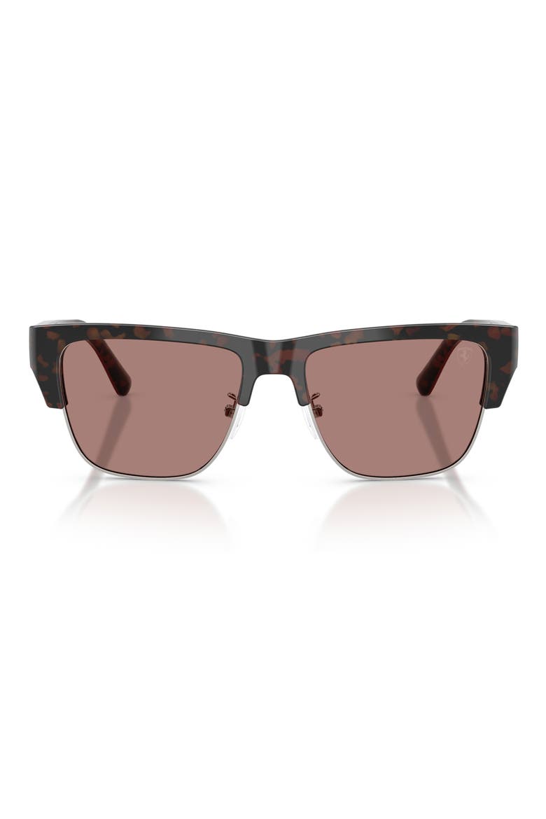 55mm Square Sunglasses, Main, color, HAVANA BURGUNDY / BROWN