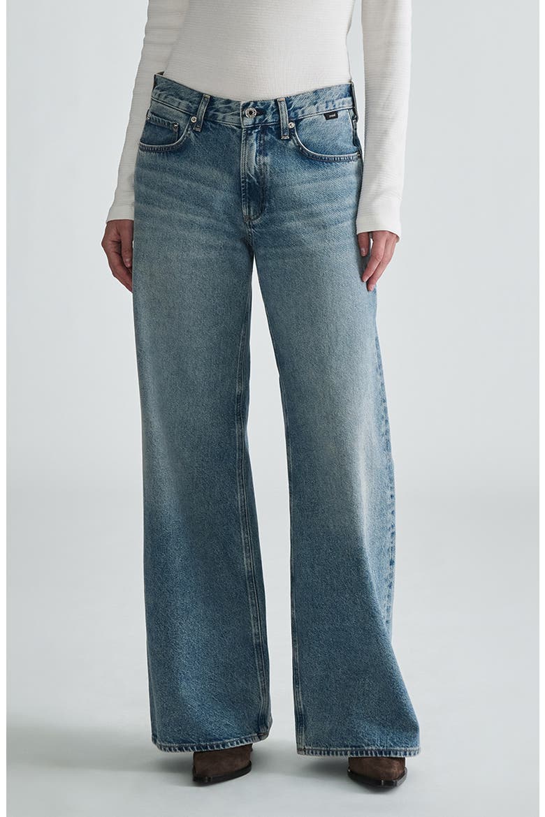 Sandy Low Waist Wide Leg Jeans, Main, color, LIGHT BRUSHED CLASSIC D