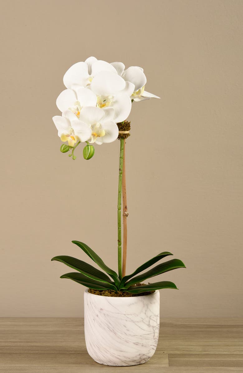 Bloomr Small Orchid Marbled Planter Decoration, Alternate, color,