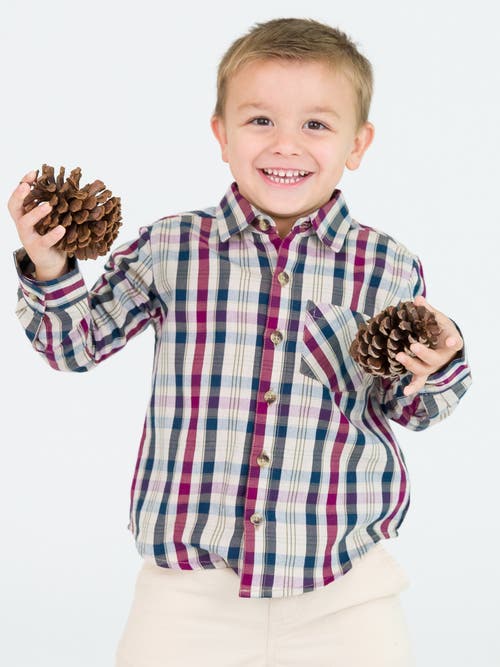 Ruggedbutts Baby Boys Long Sleeve Button Down Shirt In Rowan Plaid