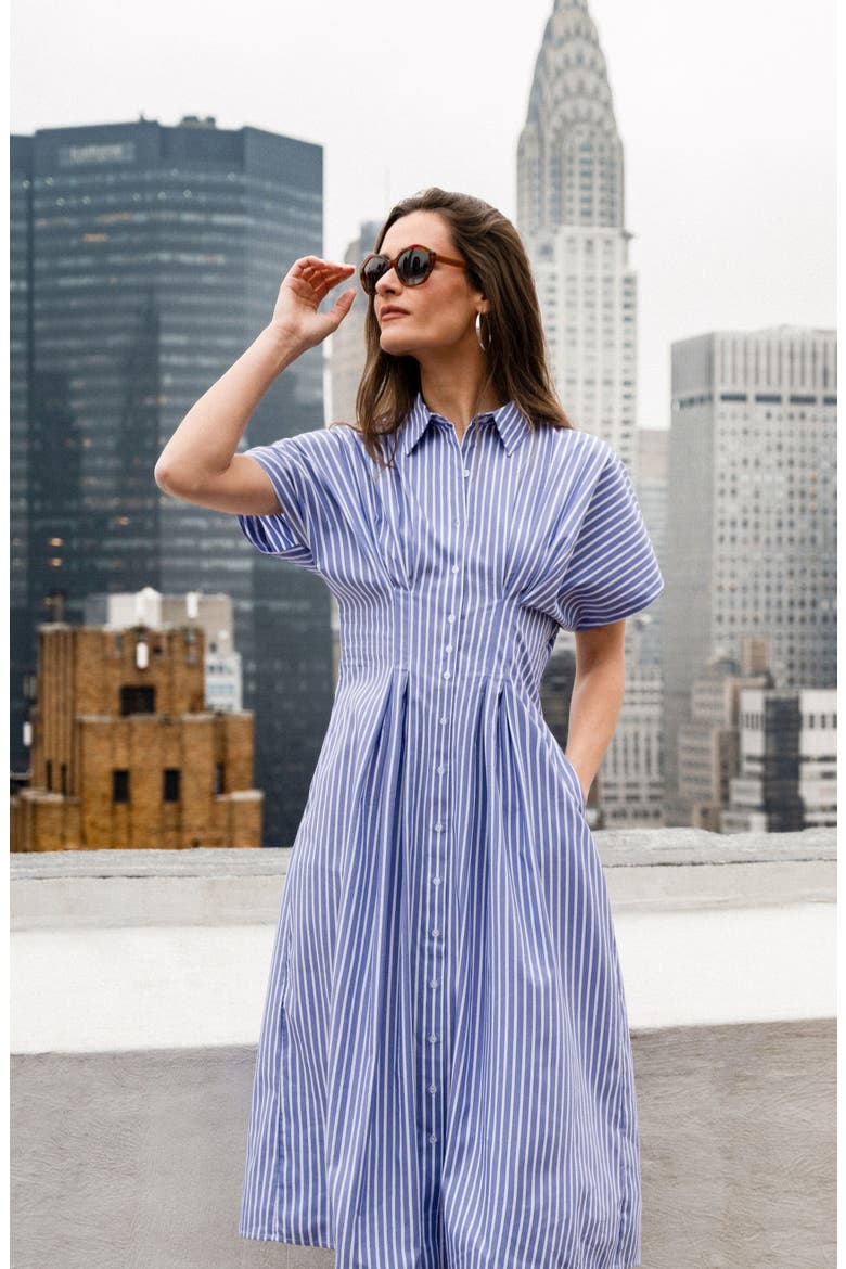 Striped Shirtdress, Alternate, color, BLUE / WHITE