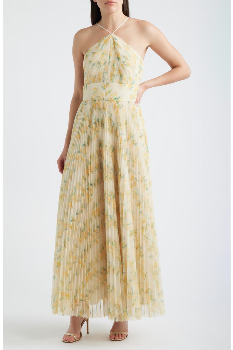 Blaine Pleated Gown, Main, color, IVORY / YELLOW