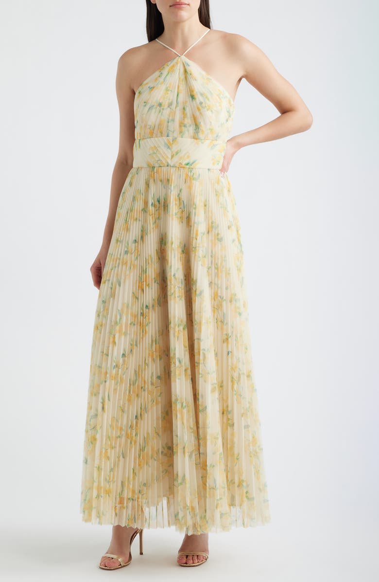Hutch Blaine Pleated Gown, Main, color, Ivory / Yellow