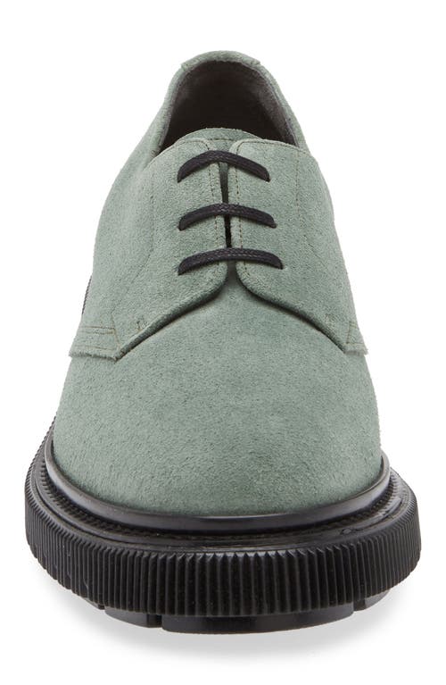 Adieu Plain Toe Derby In Cactus