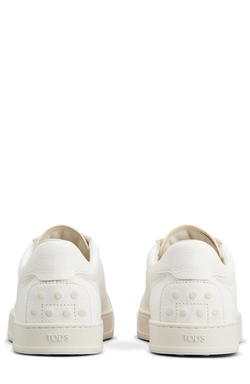 Tod's Sneakers In Bianco Latte