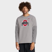 Nike Men's Nike Gray Ohio State Buckeyes 2025 Sideline Coach Performance Long Sleeve T-Shirt