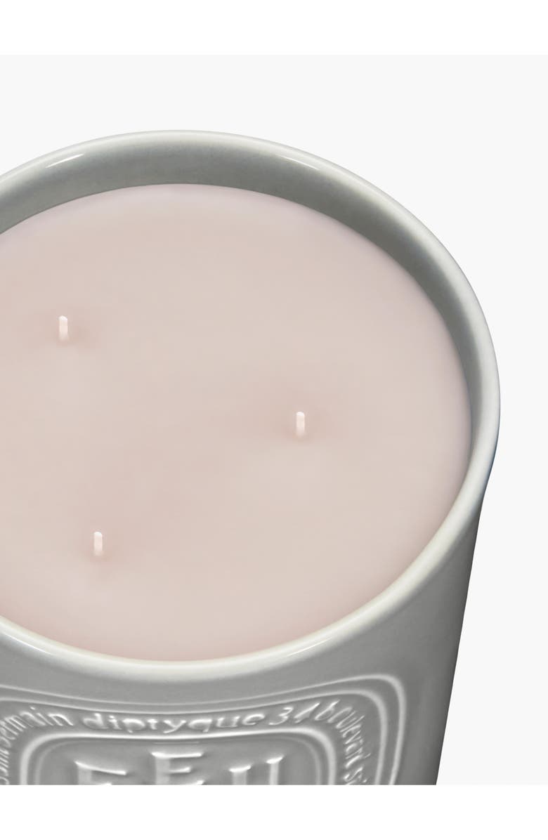 Diptyque Feu de Bois (Fire Wood) Large Scented Candle, Alternate, color, Grey Vessel