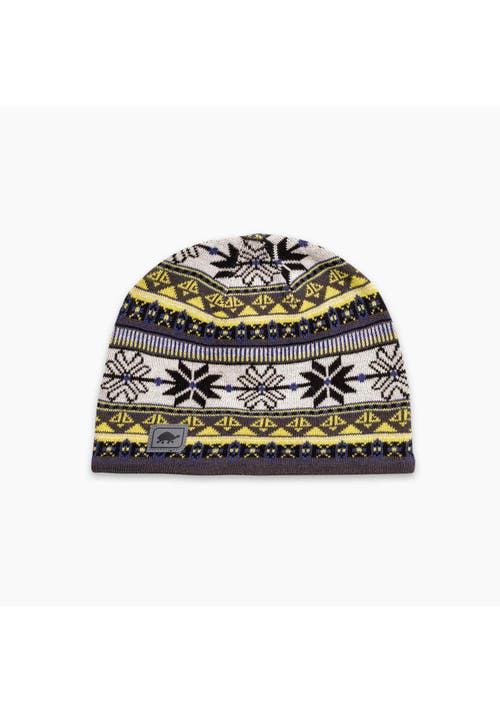 Turtle Fur Lars Merino Wool Beanie In Gray