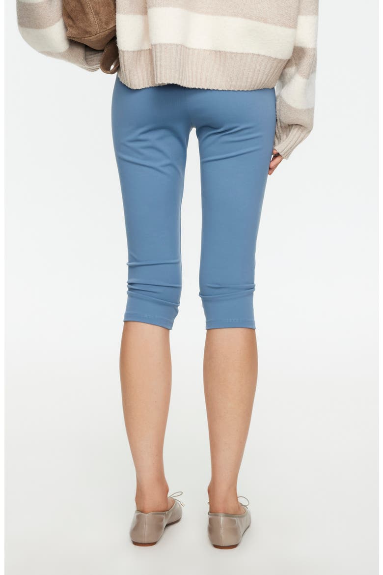 Capo Capri Pants, Alternate, color, SLATE