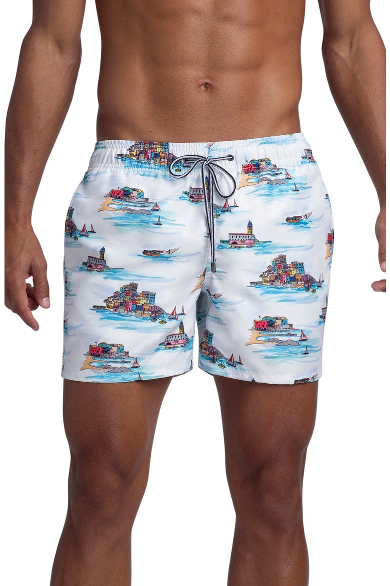 Ocean Scene Swim Trunks, Main, color, WHITE