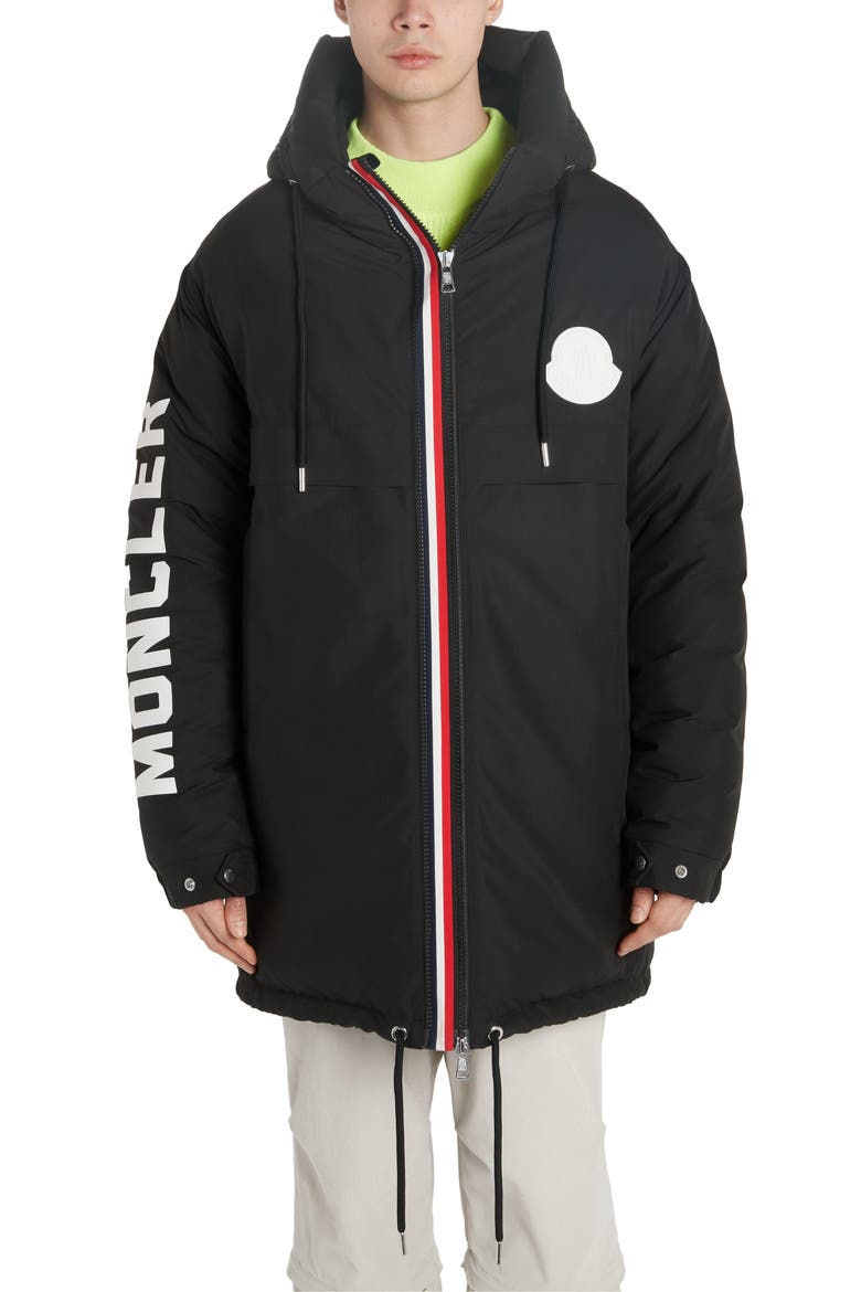 Chanier Hooded Down Jacket, Alternate, color, BLACK