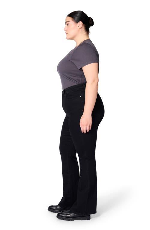 Warp & Weft Mia Plus High Rise Flare In Well In Well