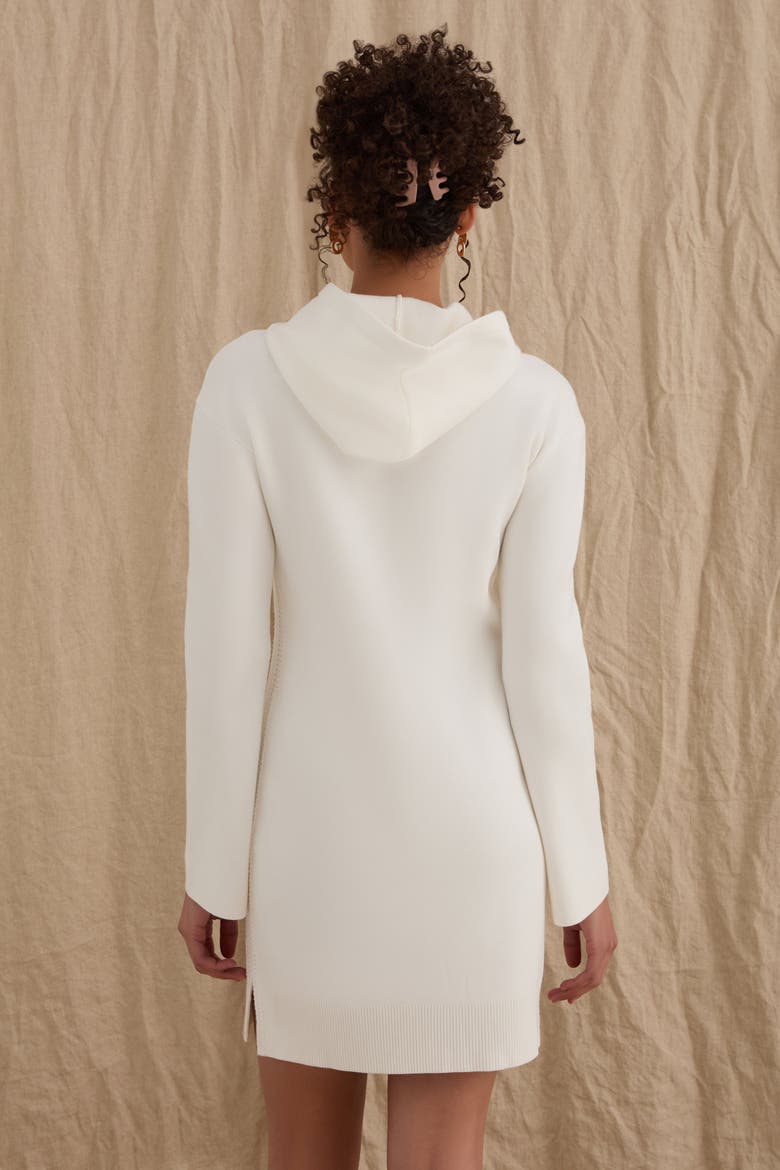 The Sweater Hoodie Mini Dress, Alternate, color, SALT