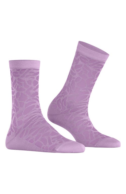Falke Creole Crew Socks