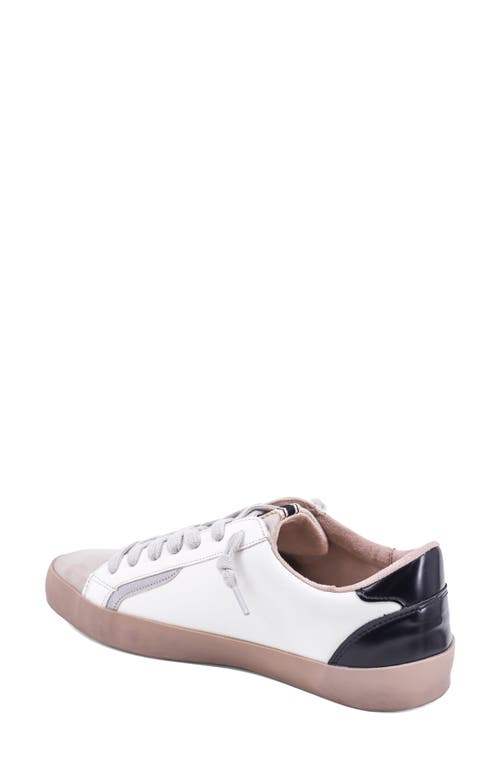 Shushop Robbie Lace-up Sneaker In Multi