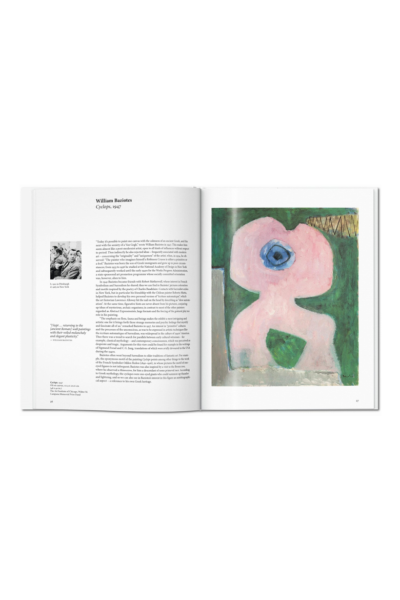 Abstract Expressionism Book, Alternate, color, White