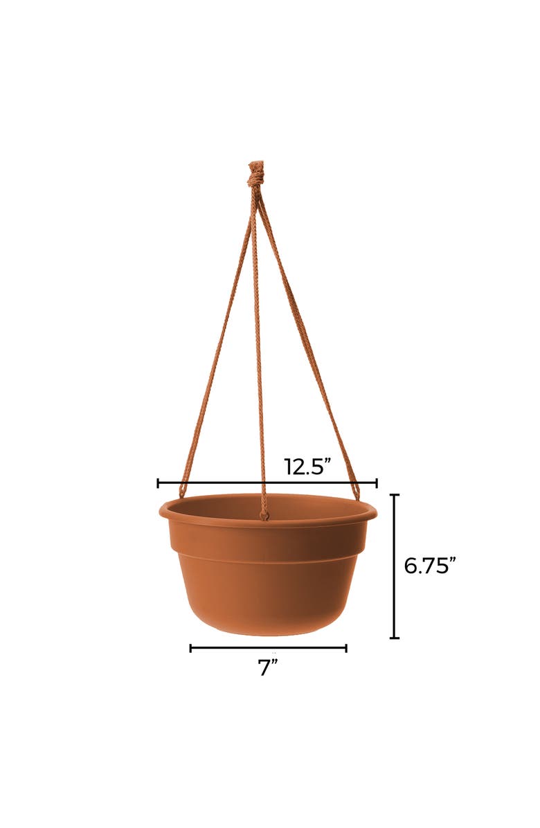Bloem Dura Cotta Self Watering Hanging Basket Planter 12 Inch Terra Cotta, Alternate, color, Brown