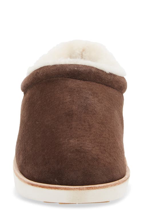 Olukai Mani Genuine Shearling Slipper In Brown