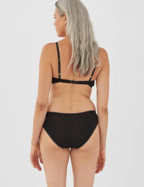 Araks Isabella Panty In Multi
