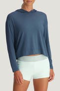 Free Fly Shade Crossover Hoodie