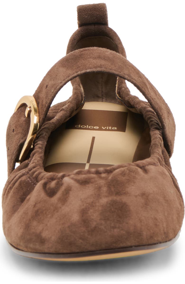 Dolce Vita Caely Mary Jane Flat, Alternate, color, Dk Brown Suede