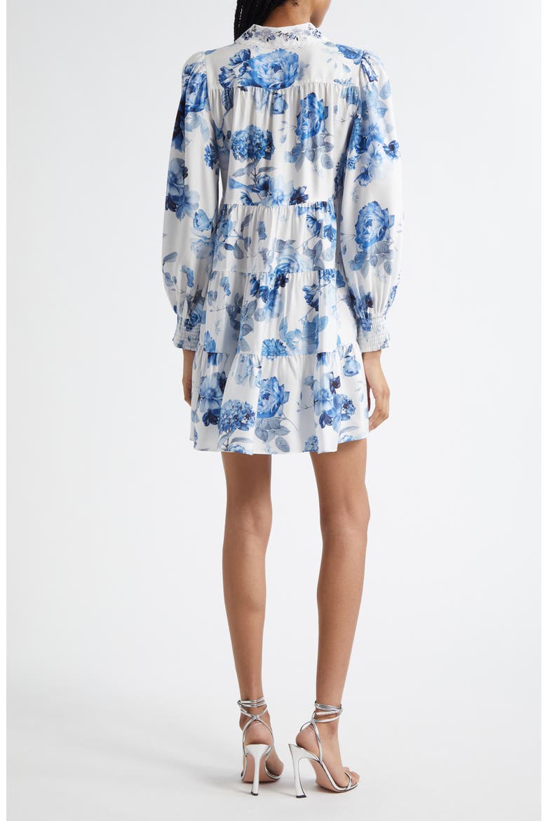 Junia Embroidered Collar Long Sleeve Minidress, Alternate, color, AFFECTION SMALL