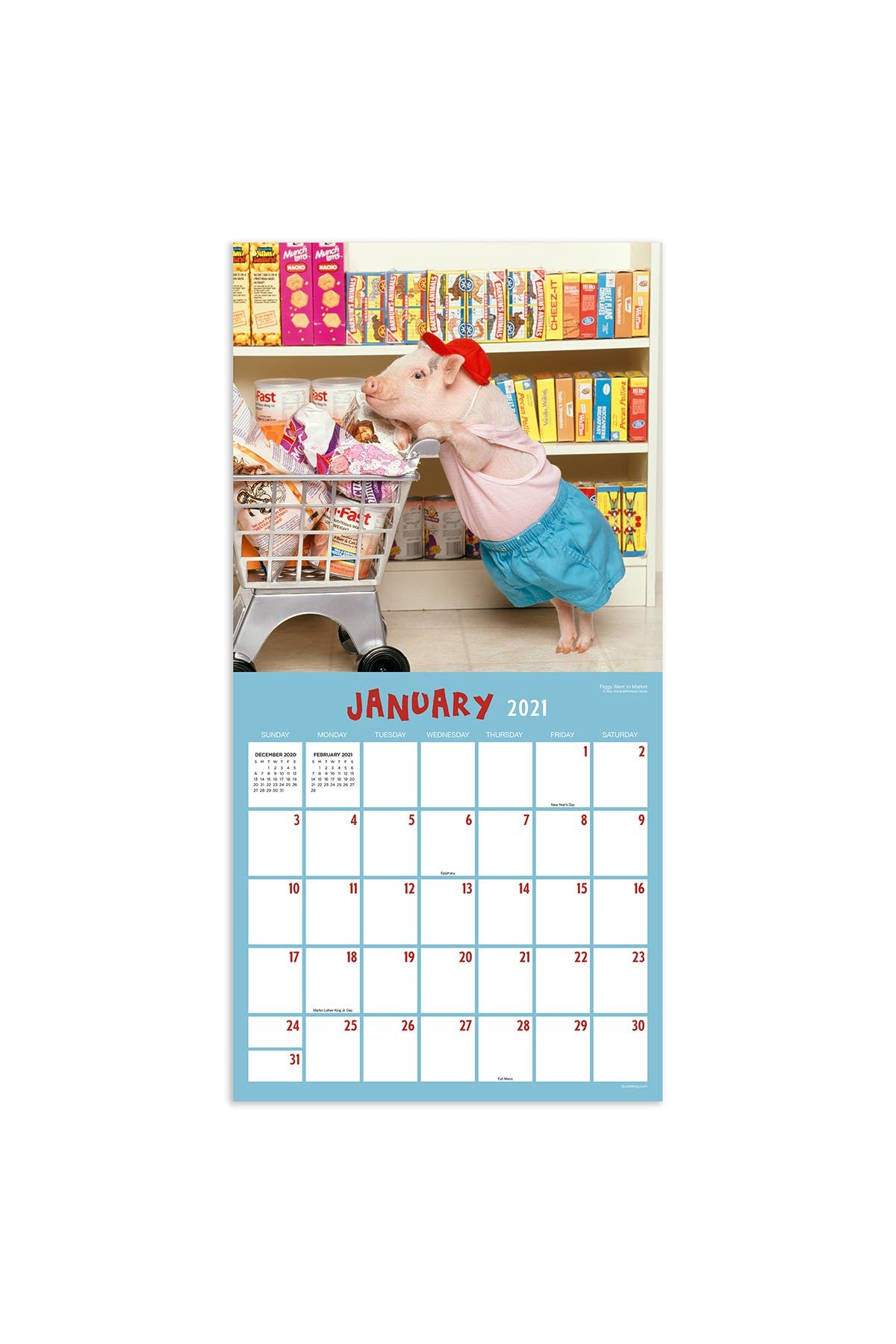 TF PUBLISHING 2021 Playful Pigs Wall Calendar | Nordstromrack