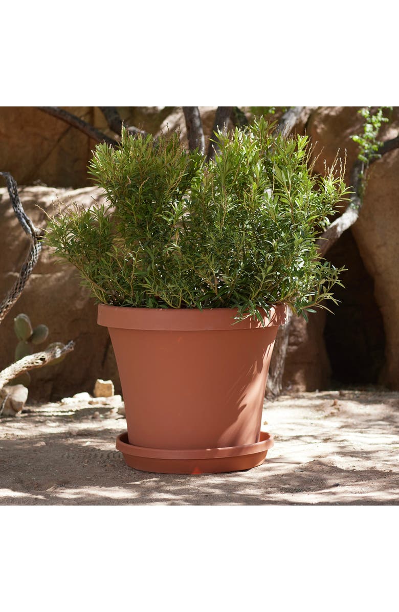 Bloem Terra 20 Inch Resin Saucer, Alternate, color, Brown