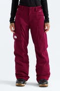 The North Face Freedom Waterproof Insulated Pants