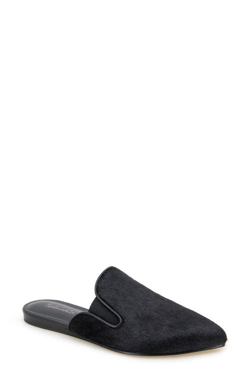 Splendid Liza Pointed Toe Mule In Black