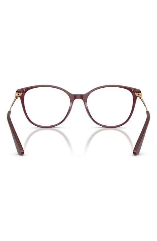 Dolce & Gabbana Dolce&gabbana 54mm Butterfly Optical Glasses In Lace Bordeaux/yellow Gold