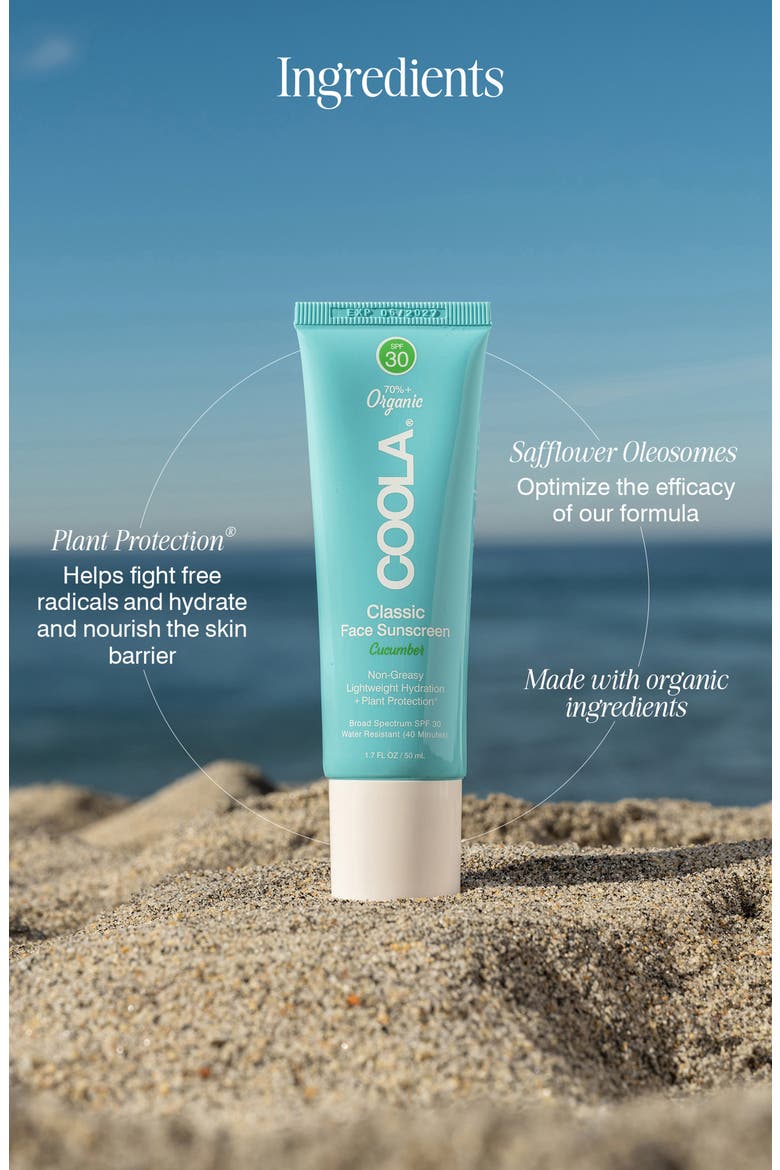 Suncare Face Classic Sunscreen SPF 30, Alternate, color, CUCUMBER