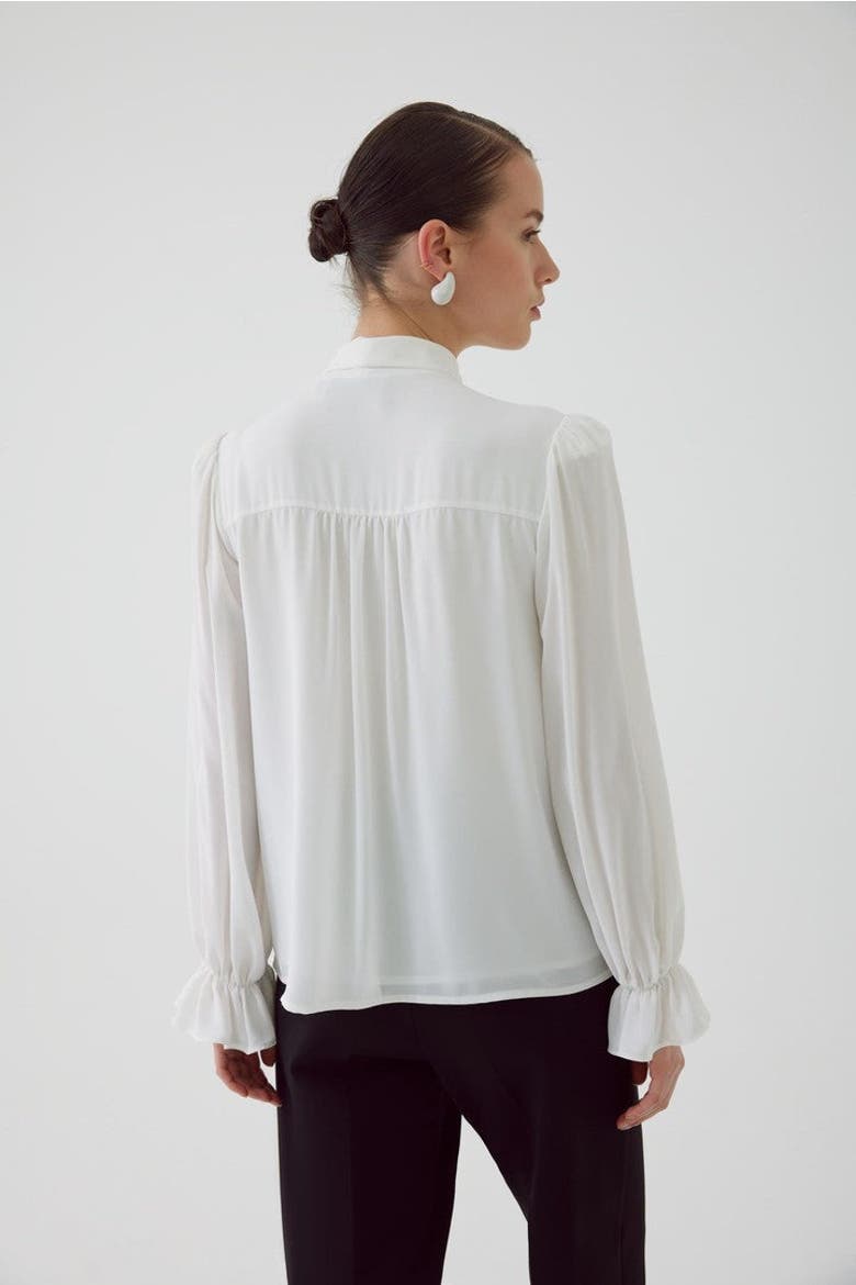 Aramis Chiffon Blouse, Alternate, color, Ecru