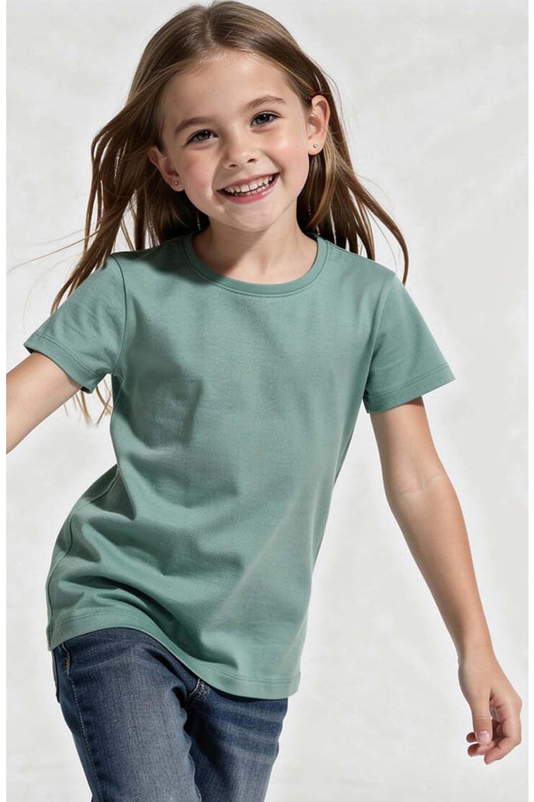 Organic Cotton Short Sleeve Ribbed Scoop Neck Tee, Alternate, color, Willow
