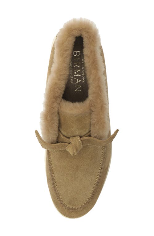 Alexandre Birman Clarita Genuine Shearling Lined Bootie In Neutral