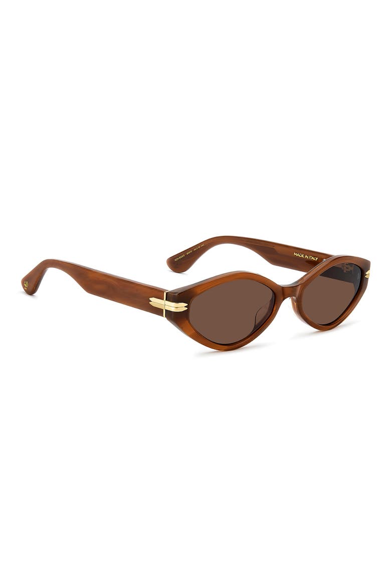 WZN 8029/S 54mm Oval Sunglasses, Alternate, color, HAVANA BROWN/ BROWN