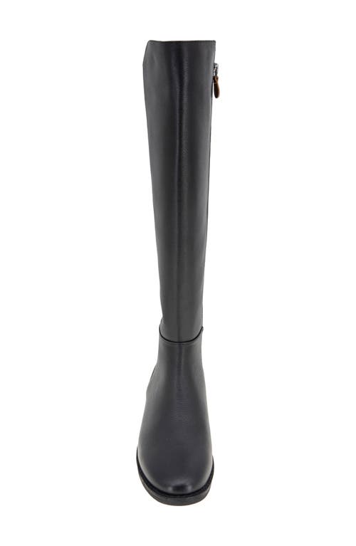 GENTLE SOULS BY KENNETH COLE GENTLE SOULS BY KENNETH COLE EMMA KNEE HIGH BOOT