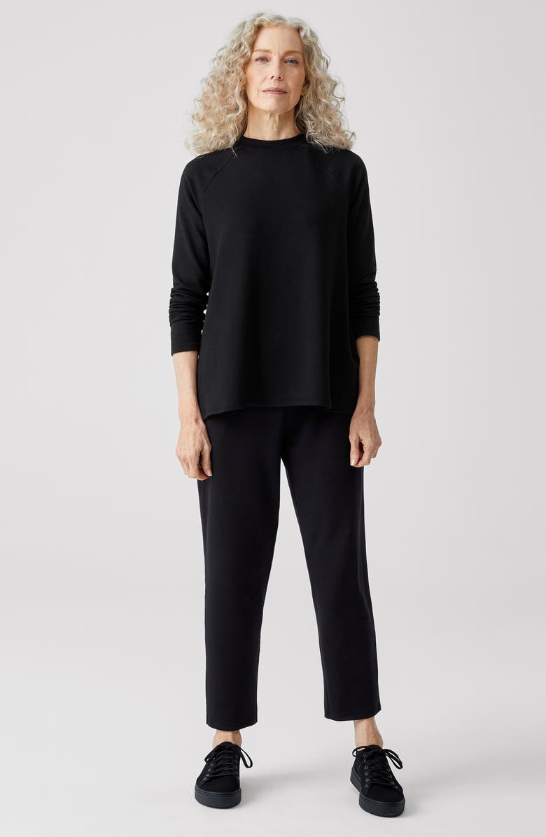 Eileen Fisher Raglan Crewneck Top, Alternate, color, 