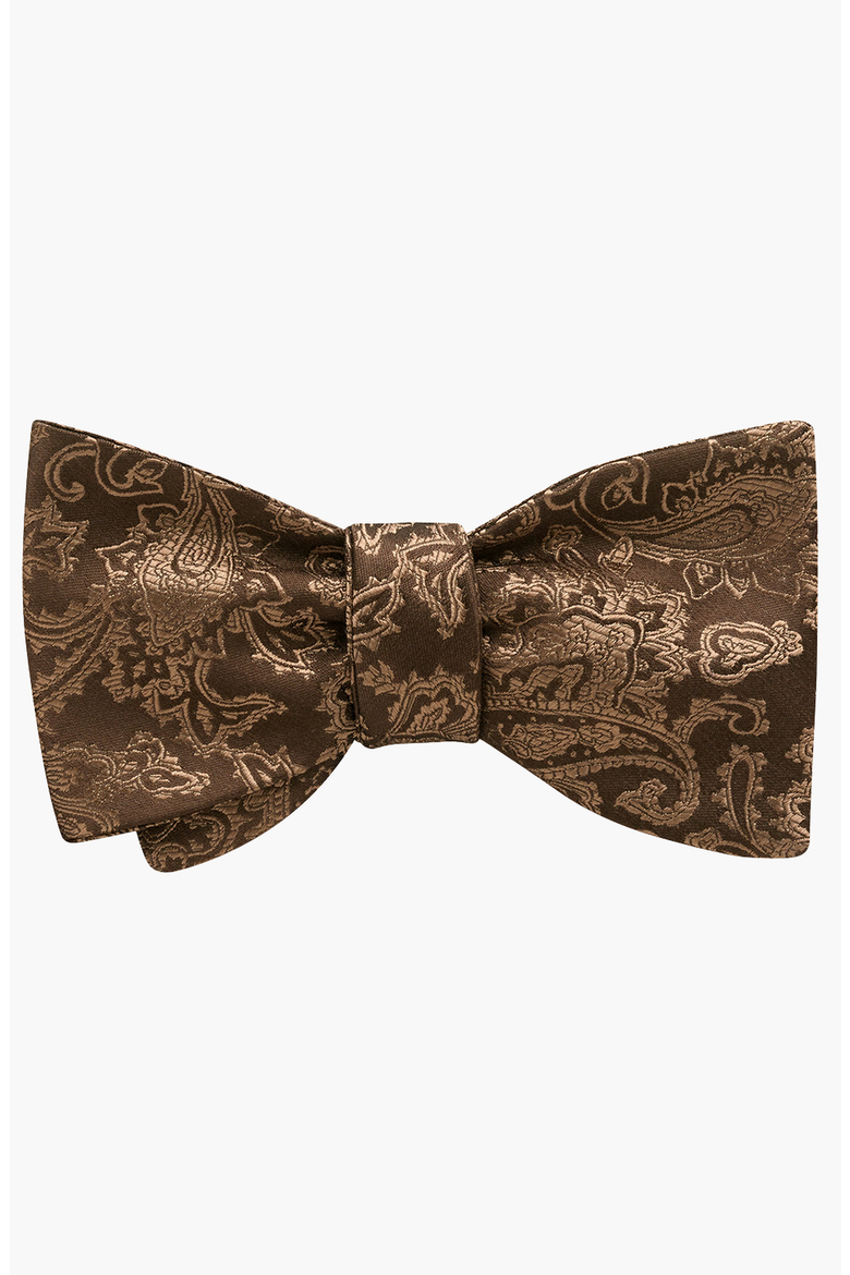 Dvorkin Bow Tie, Main, color, Brown